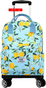 ショッピングキャリー 機内持ち込み カラー6 キャリーカート リュック 折りたたみ 大容量 F ショッピングカート 2way キャスター付き 防水 レディース メンズ おしゃれ 撥水加工 お買い物カー