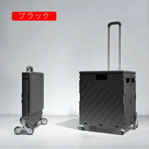 L[J[g  Lvpi ̓ v[g ܂ y AEghA VbsOJ[g F Ki͓o É h pi ו^ o₷ ƒ Ɩp sN ^