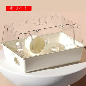 nX^[P[W nX^[nEX P[W AN NA Eoɂ ^TCY P[W K ֗ ϋv ʂ悢 g[fUC S[fnX^[ bg n