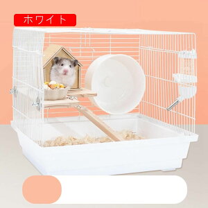 nX^[P[W P[W nX^[nEX NA ԃ^Cv Eoɂ ^TCY P[W K  ֗ ϋv ʂ悢 g[fUC S[fnX^[ 