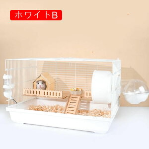 nX^[P[W P[W nX^[nEX 傫 ԃ^Cv P[W ^ |₷ S[fnX^[ LN}nX^[ȂǓKp ʋC  [߃gC 񂵎 