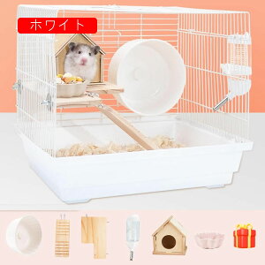 nX^[P[W  P[W S[fnX^[ 傫 nX^[nEX ^ P[W  nX^[nEX |₷ ^ ʋC gȒP 2KfUC b