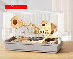 nX^[P[W NA P[W 傫 P[W ʋC  KP[W g[fUC ؋r}bgt LX^Cv ϋv gȒP bgP[W  |₷ 2