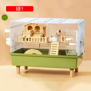 nX^[P[W NA P[W 傫 P[W ʋC  KP[W g[fUC ؋r}bgt LX^Cv ϋv gȒP bgP[W  |₷ 2