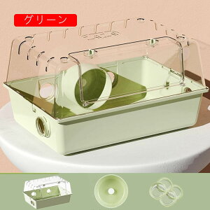 nX^[P[W AN nX^[nEX ^TCY P[W P[W NA Eoɂ ^TCY P[W K ֗ ϋv ʂ悢 g[fUC S[fn