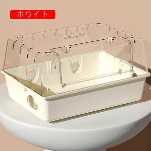 nX^[P[W AN nX^[nEX P[W NA Eoɂ ^TCY P[W K ֗ ϋv ʂ悢 g[fUC S[fnX^[ bg n