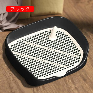 gCg[ gC Ch ybggC ^ ^ p g[jOgC bVg t P₷ }[LO|[ юUh~ǃv[gt pgC{