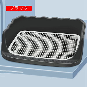 pgC ybggC pgCg[ g[jOg[ hbOg[p gCg[jO }[LO|[ bVObh Uh~ pgCg[ 