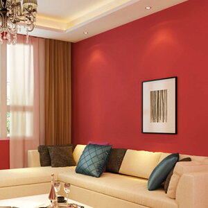 ǎ V[ diy 10m ̂t ͂ǎ NX K V[ǎ S \Ă͂ ւ CNV[g JbeBOV[g n 40cm*10m SV[g k Ƌ