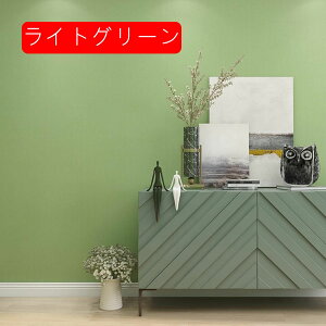 ǎV[ n O[ hǒ ̂t ǎ sN 60cm*10m ǎV[g  CNV[g _CmbNV[g ǕC h h ϔM ͗lւ OK Cgp[v 