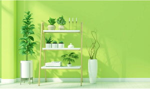 ǎ V[ ǎ ͂ 40cmx10m h ϔM DIY  CNV[g ǎV[   O[   n pr hJr  O[ Lb` gC e[u 