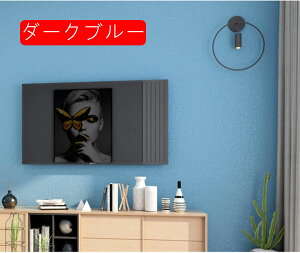 ǎV[ CNV[g n \Ă͂ F ǎV[g 5M×60cm  k ݏZ DIY S ȒP \ ̂t ؍ CeA G ȒP ͗l \t