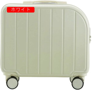 X[cP[X L[P[X @ 28L L[obO t@Xi[ y ^ ϏՌ É _uLX^[ 360x] s rWlX o O[ SSTCYi1-2j