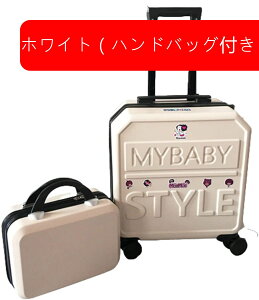 X[cP[X L[P[X @ 30L L[obO t@Xi[ y ^ ϏՌ É _uLX^[ 360x] s rWlX o bh SSTCYi1-2j