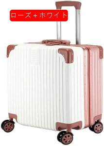 X[cP[X @ y [YS[h 44×40×22cm L[P[X 12  L[obO ssTCŶ opX[cP[X sX[cP[X q  ~jX[c