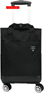 X[cP[X e @ L[obO LX^[t 4 360x] L[obO 2way  L[P[X h h y ϏՌ o ʊw s [΂