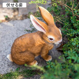 K[fjOG Ae ETM K[fIuWF O̒u    I[ig   IuWF h ϋv |pi CeA x_ 뉀  O  O