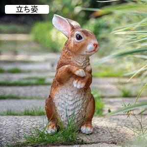 K[fjOG Ae ETM K[fIuWF O̒u    I[ig   IuWF h ϋv |pi CeA x_ 뉀  O  O