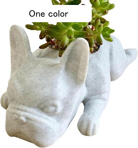 K[fjO uhbO  K[f O̒u JCC   i h ϋv |G CeA v[g Mtg i AEghA O̒̑ zCg