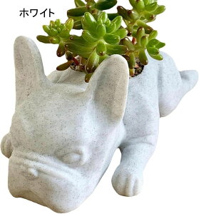 K[fjO uhbO  K[f O̒u JCC   i h ϋv |G CeA v[g Mtg i AEghA O̒̑ zCg