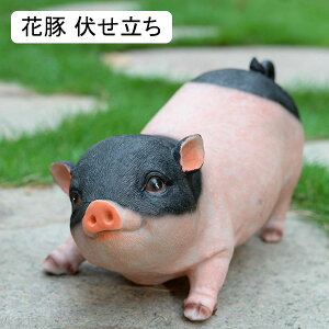 K[fI[ig  u^ K[fIuWF O̒u JCC K[fjO   h ϋv |G   | CeAG v[g Mtg  O sN