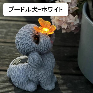 K[fI[ig  ETM K[f \[[Cg u t̂킢  I[ig  h O K[fG   | CeA N   O 