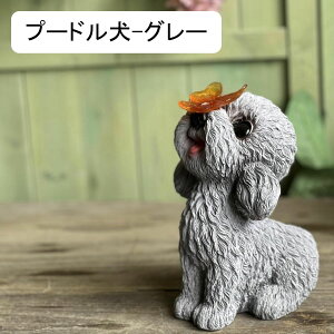 K[fI[ig  ETM K[f \[[Cg u t̂킢  I[ig  h O K[fG   | CeA N   O 