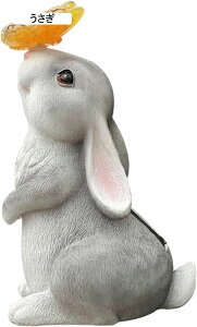 K[fI[ig  ETM K[f \[[Cg u t̂킢  I[ig  h O K[fG   | CeA N   O 