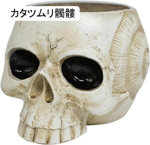 K[fjO nEB[   K[f u  Aؔ  I[ig  h ϋv K[fG |pi CeA i O̒̑ J^c one