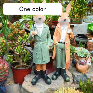 K[fI[ig e  K[f K[fu JCC b K[fjO  ̏ h ϋv K[fG |pi CeA   O fR[V 