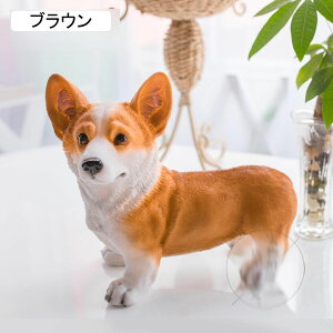 K[fjOG R[M[  K[fIuWF  K[fu Ck    I[ig h O |pi CeA v[g 蕨   O fR[V 