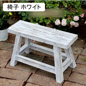 lR K[fjO L ˂ K[f u JCC  I[ig ObY~j h ϋv Jg[G |pi CeA   O  o Ki LC 28