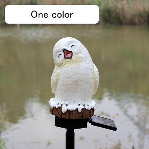 K[fI[ig VtNE K[fIuWF \[[Cg O̒u 킢 yɑ}  I[ig  h ϋv Jg[G AEghA | H|i  V