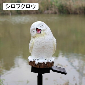 K[fI[ig VtNE K[fIuWF \[[Cg O̒u 킢 yɑ}  I[ig  h ϋv Jg[G AEghA | H|i  V