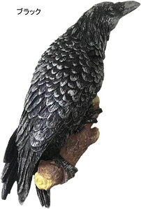 K[fjO Ǌ| JX G K[f O̒u AEghA ؂Ɋ|  I[ig  h ϋv Jg[G   | CeA O̒̑ ubN 20