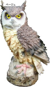 K[fjO  tNE K[fIuWF u 悯   I[ig  h ϋv |G |pi CeA v[g Mtg x_ 뉀  O  Op