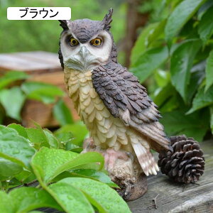 K[fjO  tNE K[fIuWF u 悯   I[ig  h ϋv |G |pi CeA v[g Mtg x_ 뉀  O  Op