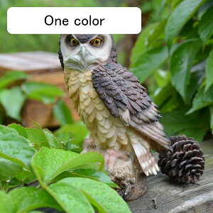 K[fjO  tNE K[fIuWF u 悯   I[ig  h ϋv |G |pi CeA v[g Mtg x_ 뉀  O  Op