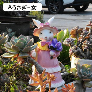 K[fjO ETM e K[fIuWF O̒u AEghA 킢   h O |pi CeAG v[g Mtg   O  o Ki A-yA