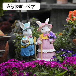 K[fjO ETM e K[fIuWF O̒u AEghA 킢   h O |pi CeAG v[g Mtg   O  o Ki A-yA