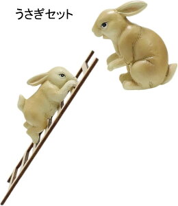 K[fI[ig ͂oETM K[fIuWF e u   K[fjO  i h ϋv   | CeA   O  o Ki Z