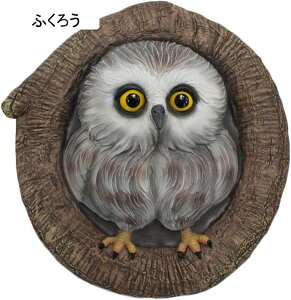 K[fjO  tNE Ǌ| K[f u  A c  I[ig u h O Jg[G |pi CeA H|i O̒̑ ӂ낤 17