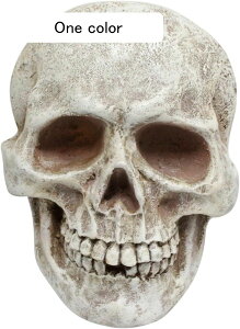 K[fjO Ǌ|  K[f O̒u nEB[ u h ϋv |G   CeA Ǐ x_ 뉀 AEghA Op  one size