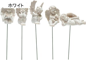 K[fjO Vg K[fIuWF yɑ} GWF JCC b K[f h O Jg[G   | CeA A  J^ObY 뉀  O 