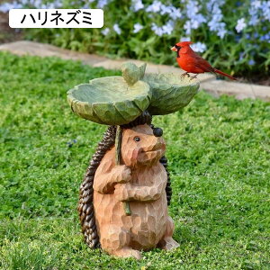 K[fI[ig ̋a  u AEghA JCC  I[ig u h ϋv |G CeA A v[g x_ 뉀 O  ɂƂ 13.5