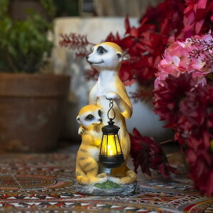 K[fI[ig }O[X \[[Cg K[fIuWF O̒u 킢 A   ̏ h O | CeA x_ AEghA Op eq}