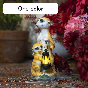 K[fI[ig }O[X \[[Cg K[fIuWF O̒u 킢 A   ̏ h O | CeA x_ AEghA Op eq}