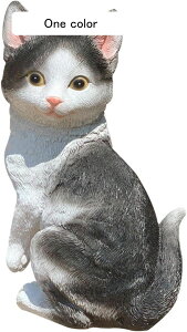 K[fjO L ˂ K[fIuWF O̒u lR   I[ig   h ϋv |G   | CeA ޏ    O  o