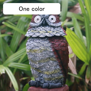 K[fjO tNE  K[fIuWF u  AEghA \[[Cg   h O | CeA A  i O̒̑ tNE one siz