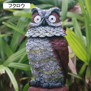 K[fjO tNE  K[fIuWF u  AEghA \[[Cg   h O | CeA A  i O̒̑ tNE one siz